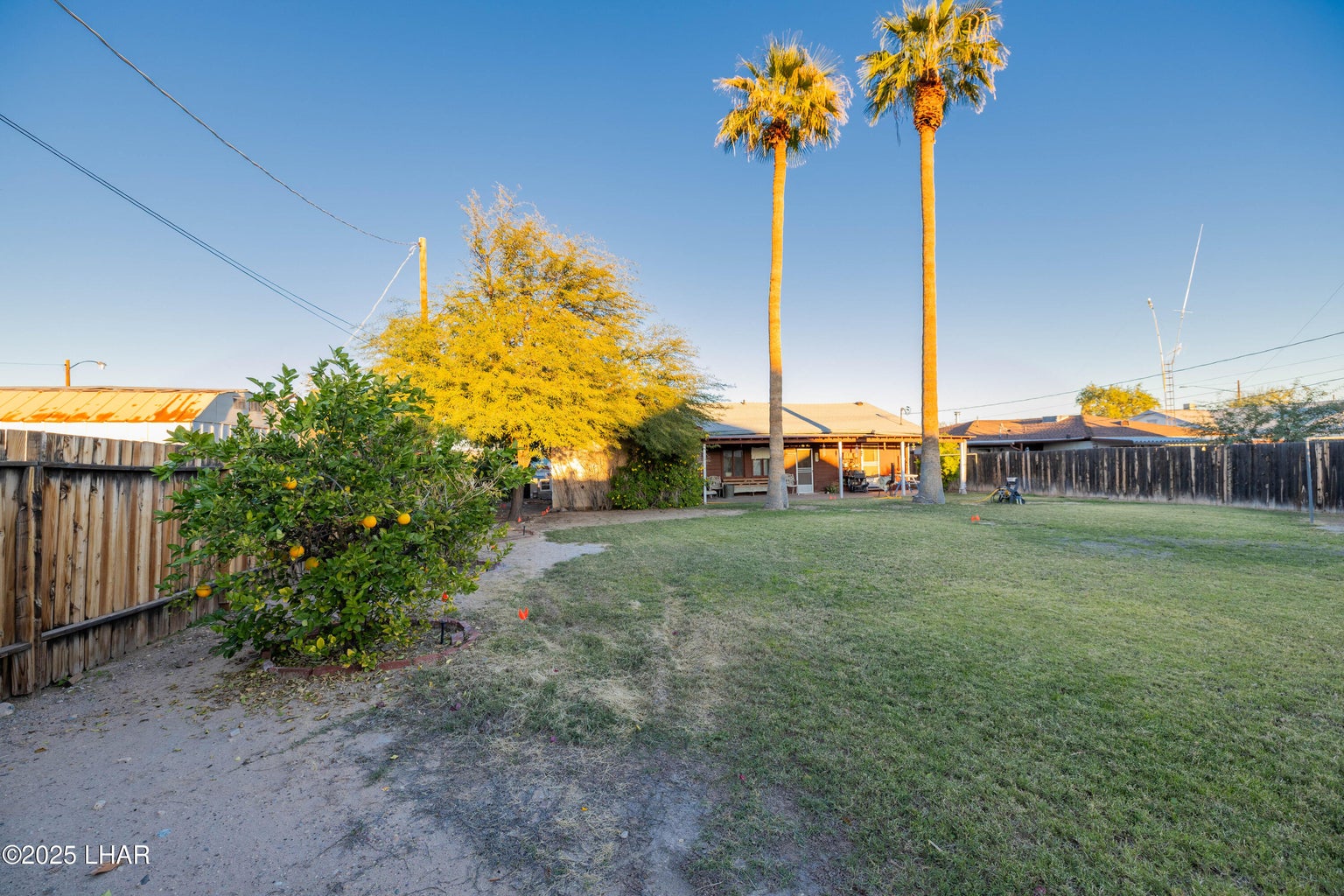 20251212214502667288000000-o